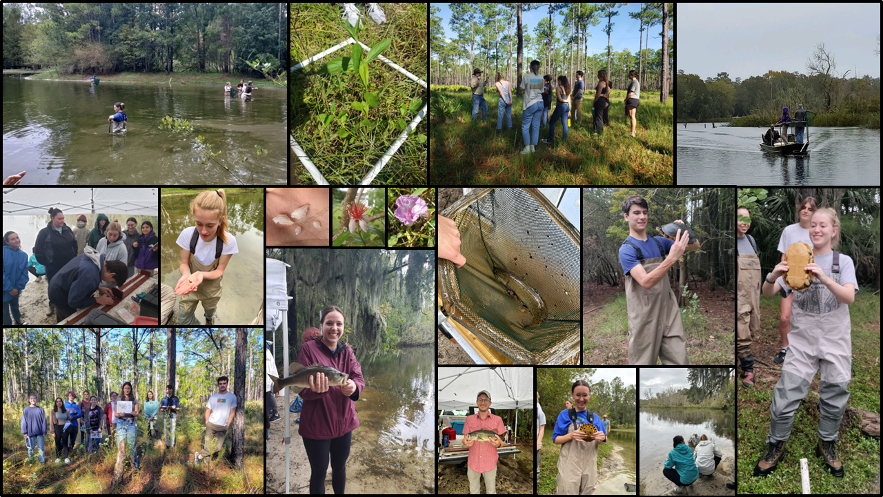 EVS field trip collage