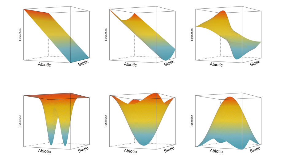 The environmental filtering paradigm and non-filtering community assembly processes